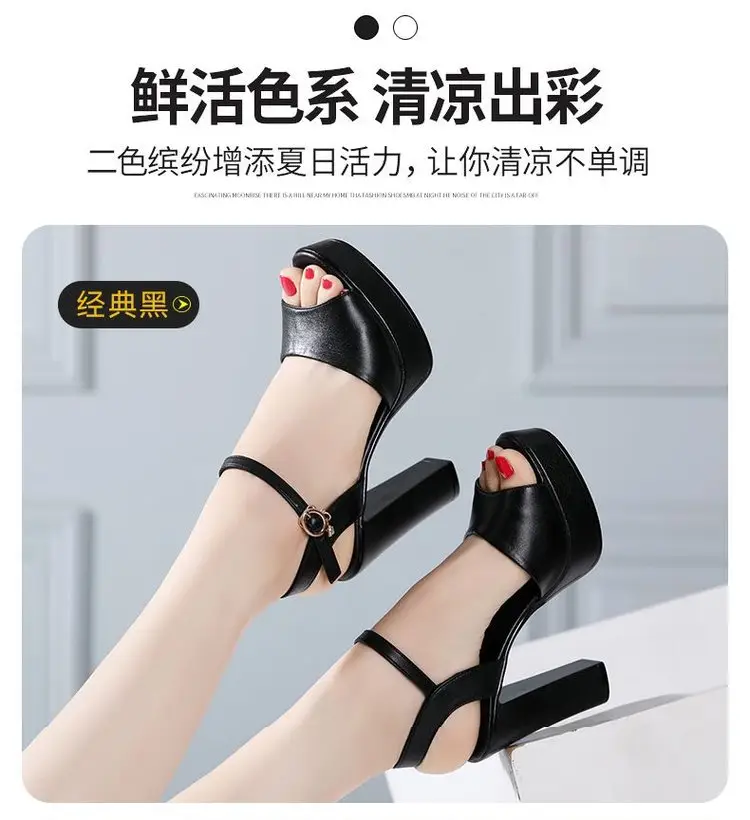 2024 Black Thick Heel Sandals with Buckle Closure — feature 4
