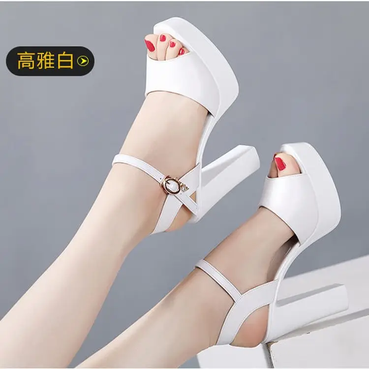 2024 Black Thick Heel Sandals with Buckle Closure - Image 2