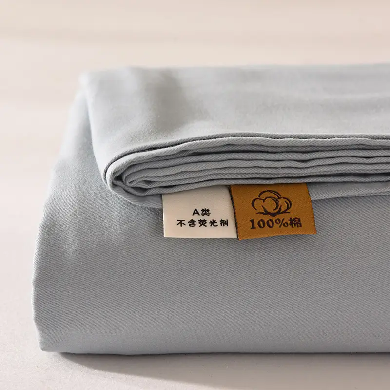 Class a 100% Cotton Xinjiang Cotton Solid Color Pure Cotton Reactive Brushed Bed Sheet Ultra Soft Household Oversized Bed Sheet Wholesale