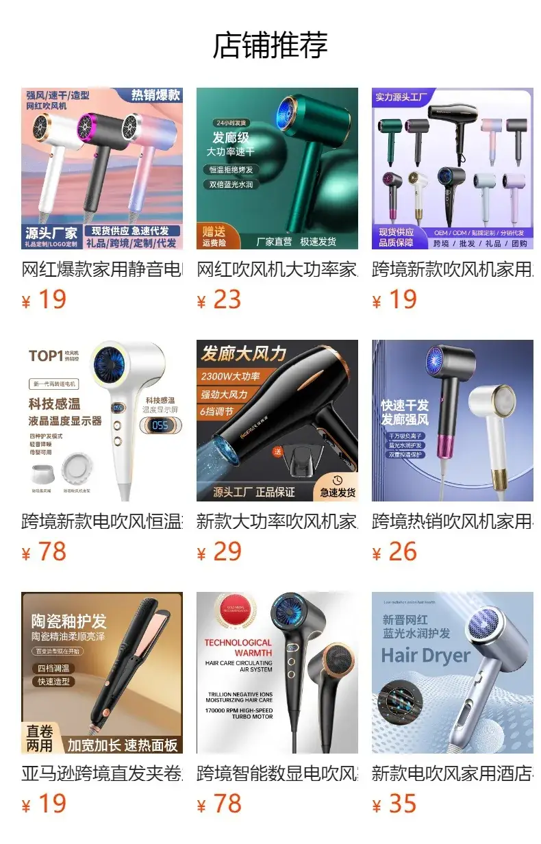 2400W Cross-Border Hair Dryer with Cold/Hot Air & Negative Ion — feature 1