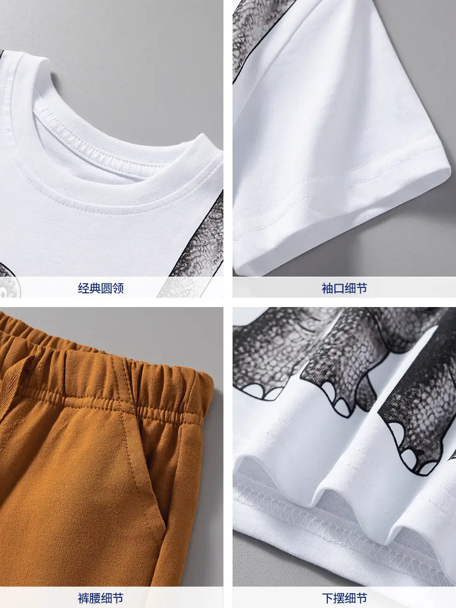Boys Dinosaur Print T-Shirt Shorts Set Brown White - Image 6