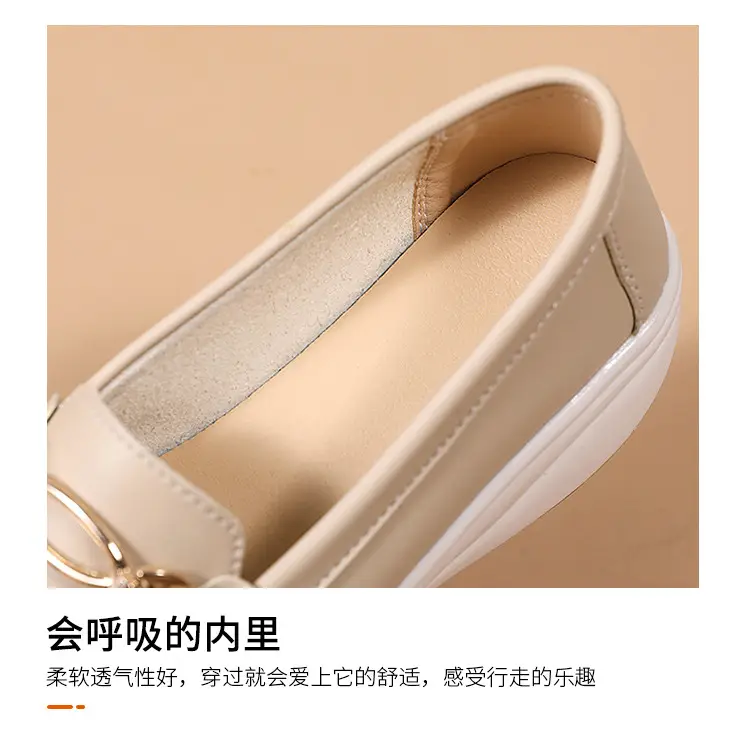 Cross-Border European and American Large Size Women's Shoes Spring and Autumn New Fashion Thick-Soled Platform Shoes Metal Buckle Wedge Heel Shallow Mouth Mother's Shoes — feature 11