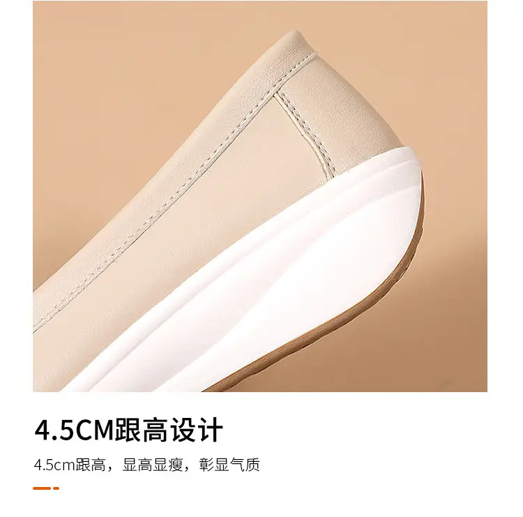 Cross-Border European and American Large Size Women's Shoes Spring and Autumn New Fashion Thick-Soled Platform Shoes Metal Buckle Wedge Heel Shallow Mouth Mother's Shoes — feature 12