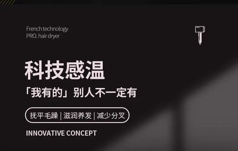 High Power Negative Ion Hair Dryer for Home & Salon — feature 1