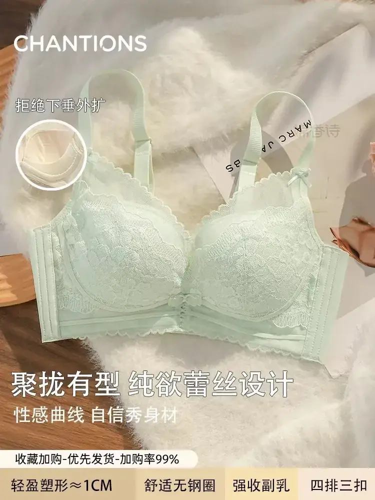 8077 French Lace Push-Up Bra for Small Busts — feature 4