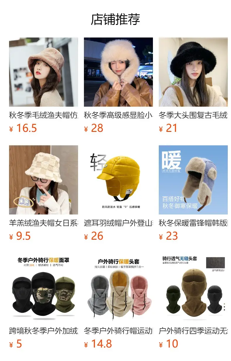 Korean Embroidered Plush Hat for Women Winter Warm — feature 1