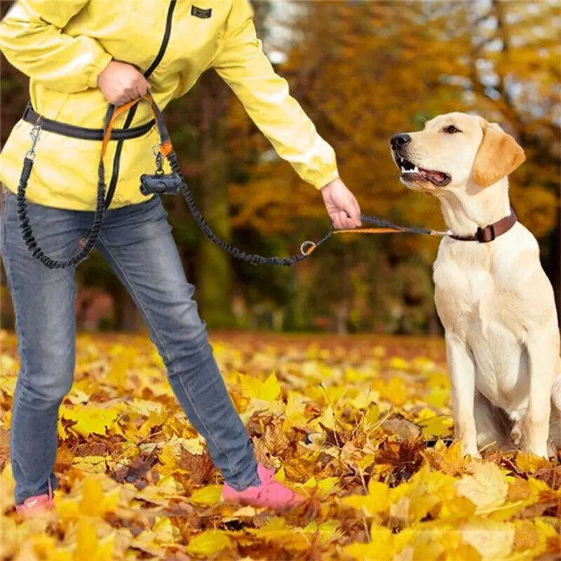 Dog Running Leash Outdoor Walking Dog Riot Retractable Leash Free Hands Running Leash Belt — feature 14