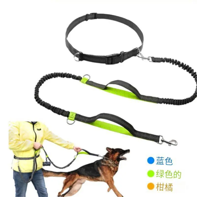 Dog Running Leash Outdoor Walking Dog Riot Retractable Leash Free Hands Running Leash Belt — feature 8