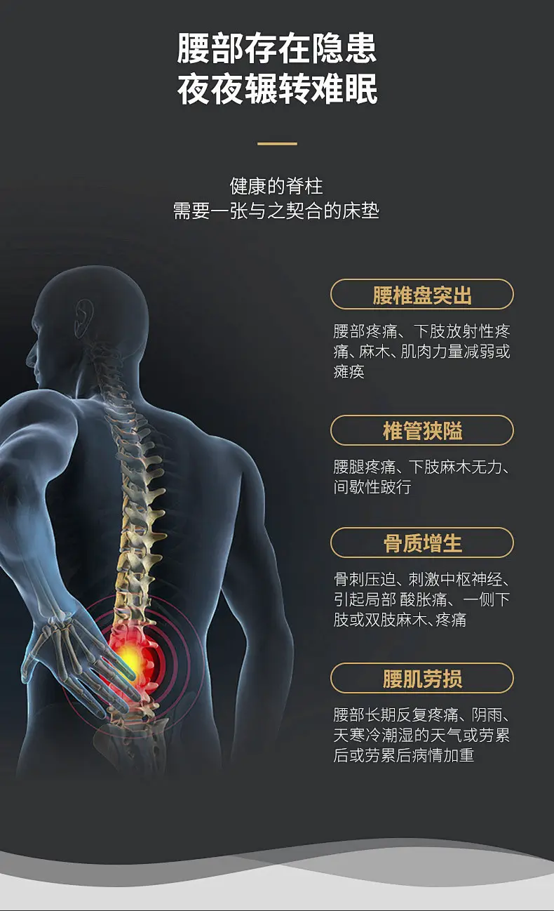 Waist Belt for Weightlifting & Back Support — feature 3