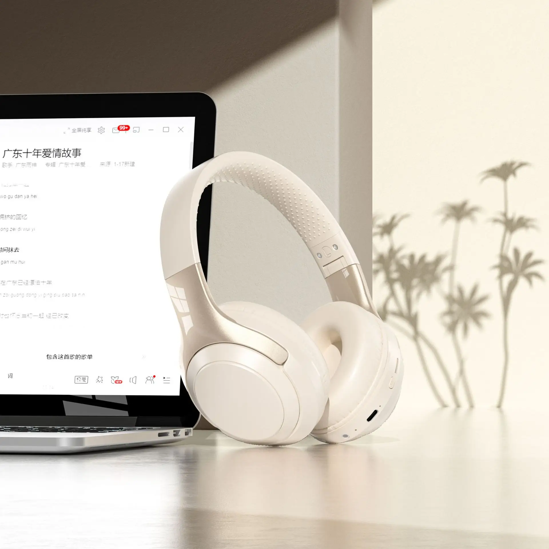 Wireless Bluetooth Headset with TF Card & Type-C Ports