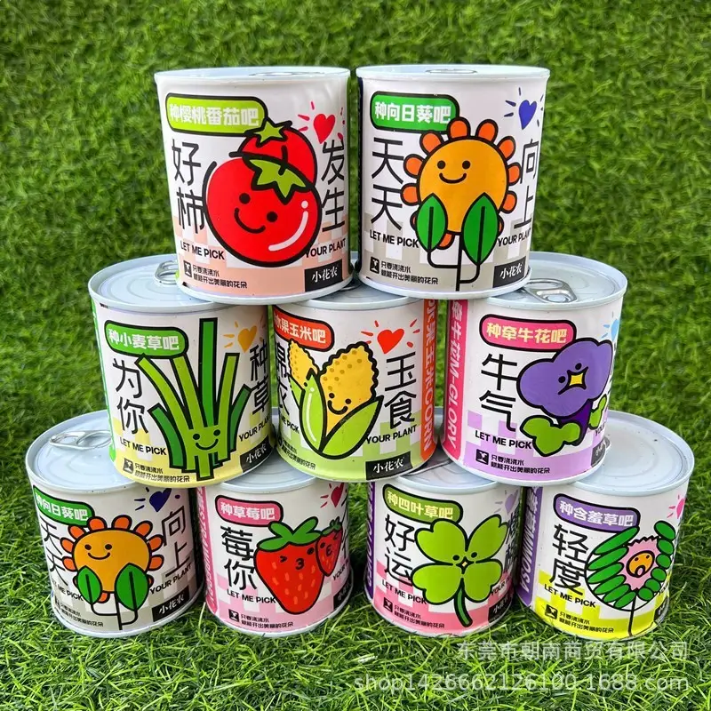 High-Quality Gift Blind Box Potted Plants Kindergarten Gifts Indoor Planting Flower Seeds Student Desktop Green Plants Potted Plants - Image 27