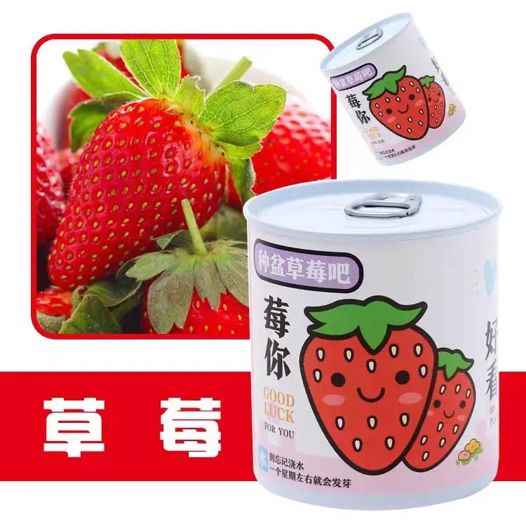 High-Quality Gift Blind Box Potted Plants Kindergarten Gifts Indoor Planting Flower Seeds Student Desktop Green Plants Potted Plants - Image 28