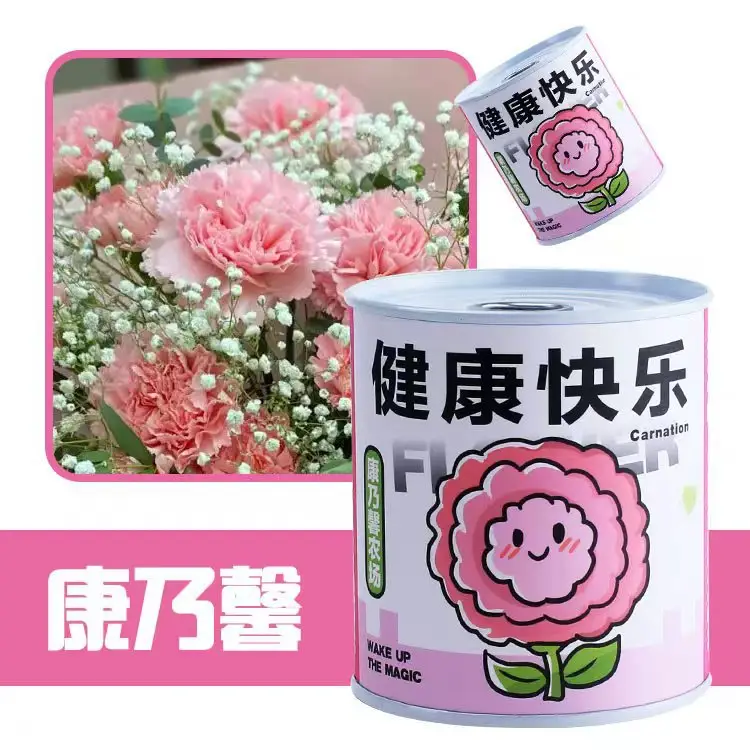 High-Quality Gift Blind Box Potted Plants Kindergarten Gifts Indoor Planting Flower Seeds Student Desktop Green Plants Potted Plants - Image 29