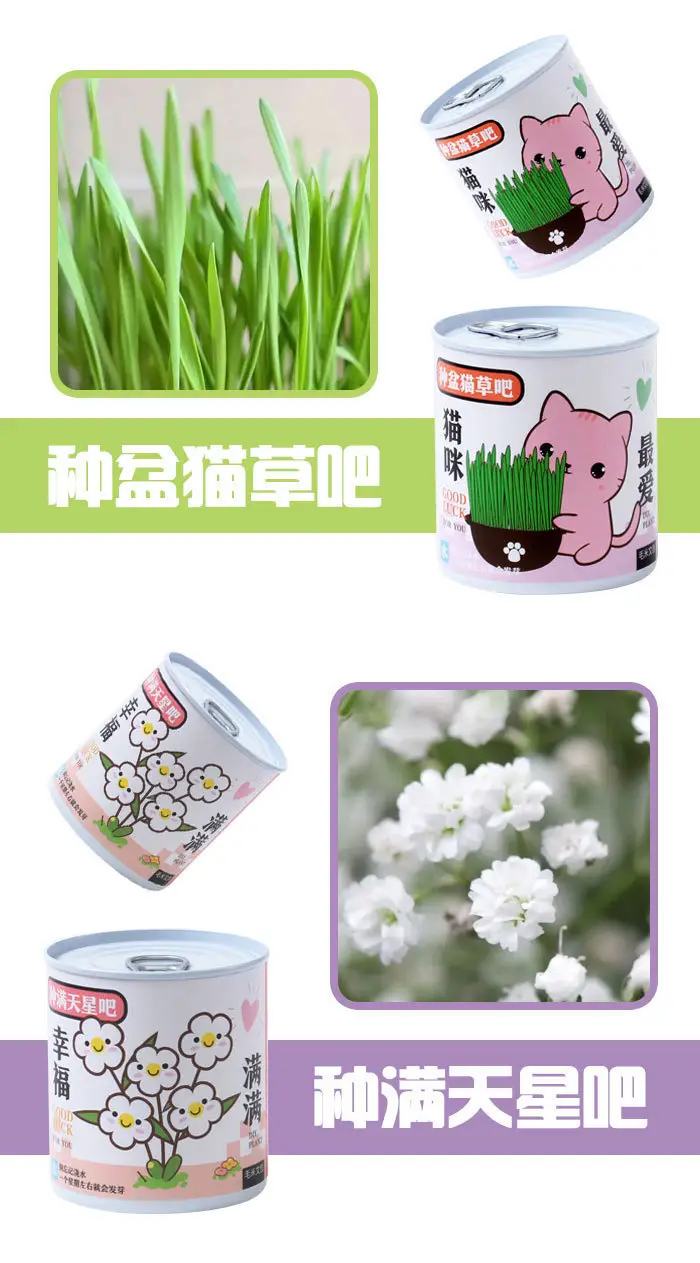 High-Quality Gift Blind Box Potted Plants Kindergarten Gifts Indoor Planting Flower Seeds Student Desktop Green Plants Potted Plants — feature 10