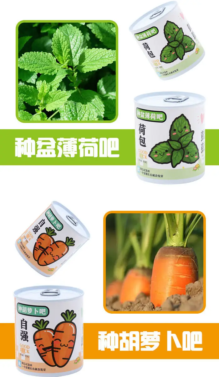 High-Quality Gift Blind Box Potted Plants Kindergarten Gifts Indoor Planting Flower Seeds Student Desktop Green Plants Potted Plants — feature 14