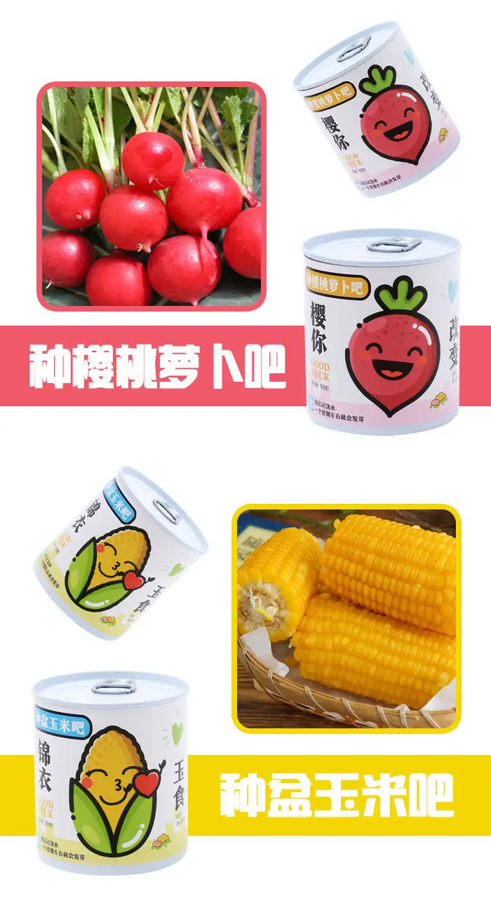 High-Quality Gift Blind Box Potted Plants Kindergarten Gifts Indoor Planting Flower Seeds Student Desktop Green Plants Potted Plants — feature 15
