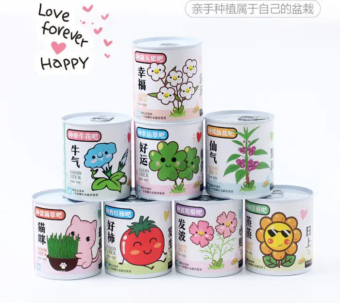 High-Quality Gift Blind Box Potted Plants Kindergarten Gifts Indoor Planting Flower Seeds Student Desktop Green Plants Potted Plants — feature 2