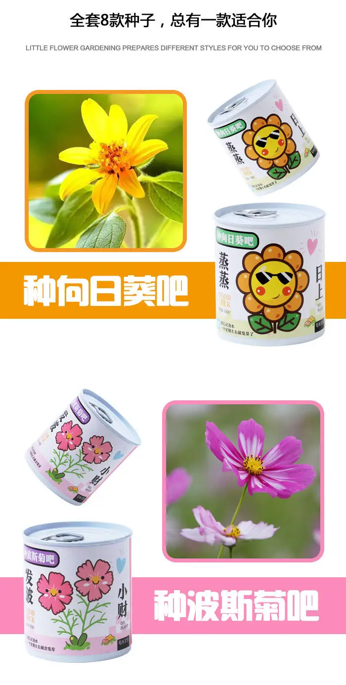 High-Quality Gift Blind Box Potted Plants Kindergarten Gifts Indoor Planting Flower Seeds Student Desktop Green Plants Potted Plants — feature 9