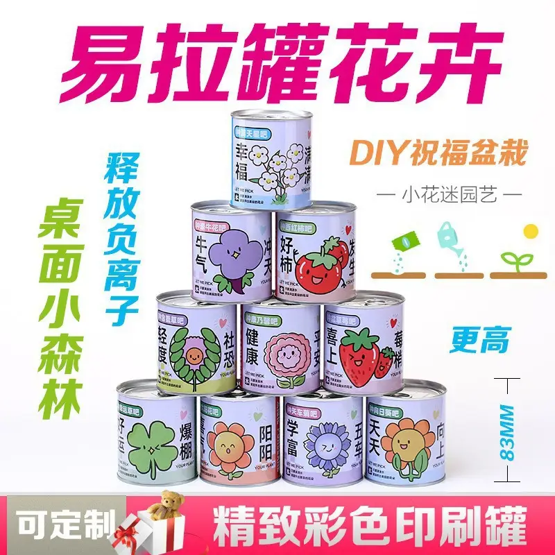 High-Quality Gift Blind Box Potted Plants Kindergarten Gifts Indoor Planting Flower Seeds Student Desktop Green Plants Potted Plants