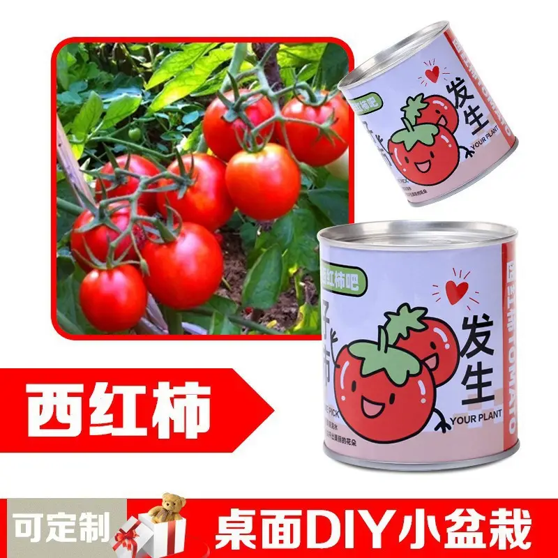 High-Quality Gift Blind Box Potted Plants Kindergarten Gifts Indoor Planting Flower Seeds Student Desktop Green Plants Potted Plants - Image 11