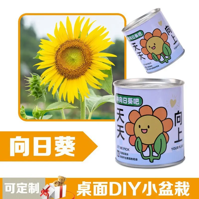 High-Quality Gift Blind Box Potted Plants Kindergarten Gifts Indoor Planting Flower Seeds Student Desktop Green Plants Potted Plants - Image 12