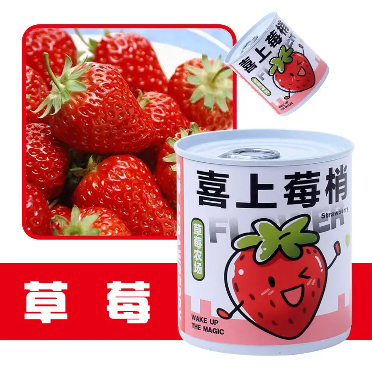High-Quality Gift Blind Box Potted Plants Kindergarten Gifts Indoor Planting Flower Seeds Student Desktop Green Plants Potted Plants - Image 13