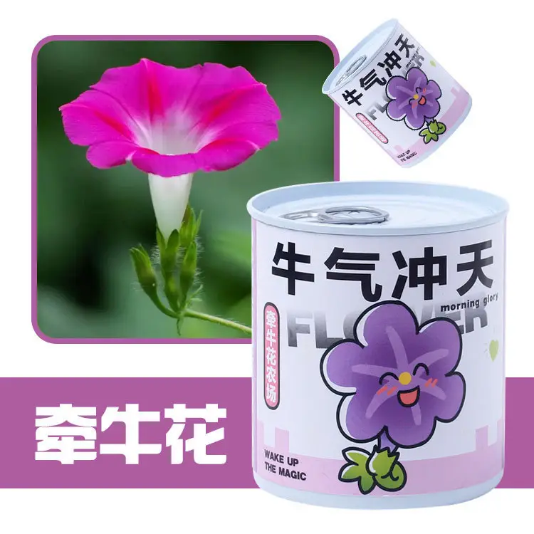 High-Quality Gift Blind Box Potted Plants Kindergarten Gifts Indoor Planting Flower Seeds Student Desktop Green Plants Potted Plants - Image 14