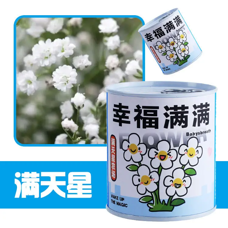 High-Quality Gift Blind Box Potted Plants Kindergarten Gifts Indoor Planting Flower Seeds Student Desktop Green Plants Potted Plants - Image 17