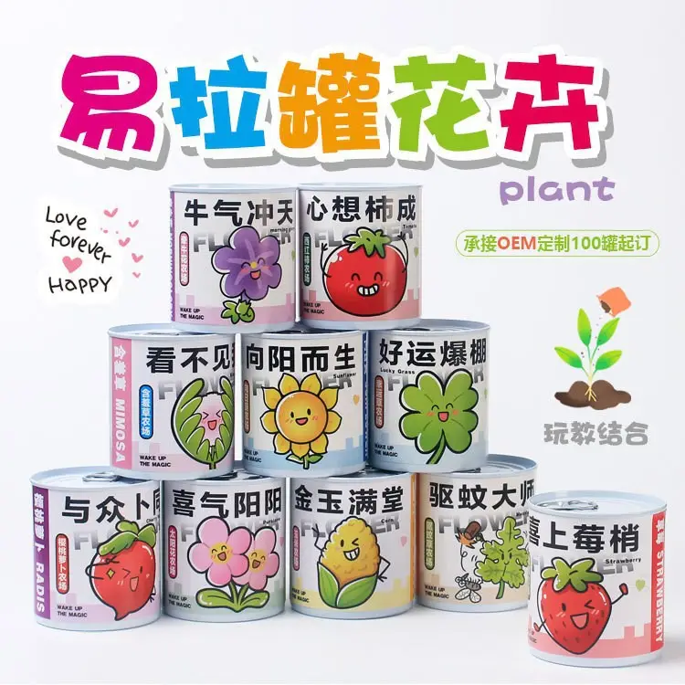 High-Quality Gift Blind Box Potted Plants Kindergarten Gifts Indoor Planting Flower Seeds Student Desktop Green Plants Potted Plants - Image 2