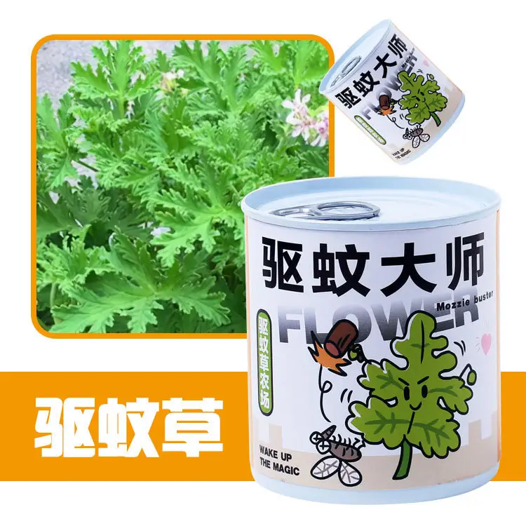 High-Quality Gift Blind Box Potted Plants Kindergarten Gifts Indoor Planting Flower Seeds Student Desktop Green Plants Potted Plants - Image 18