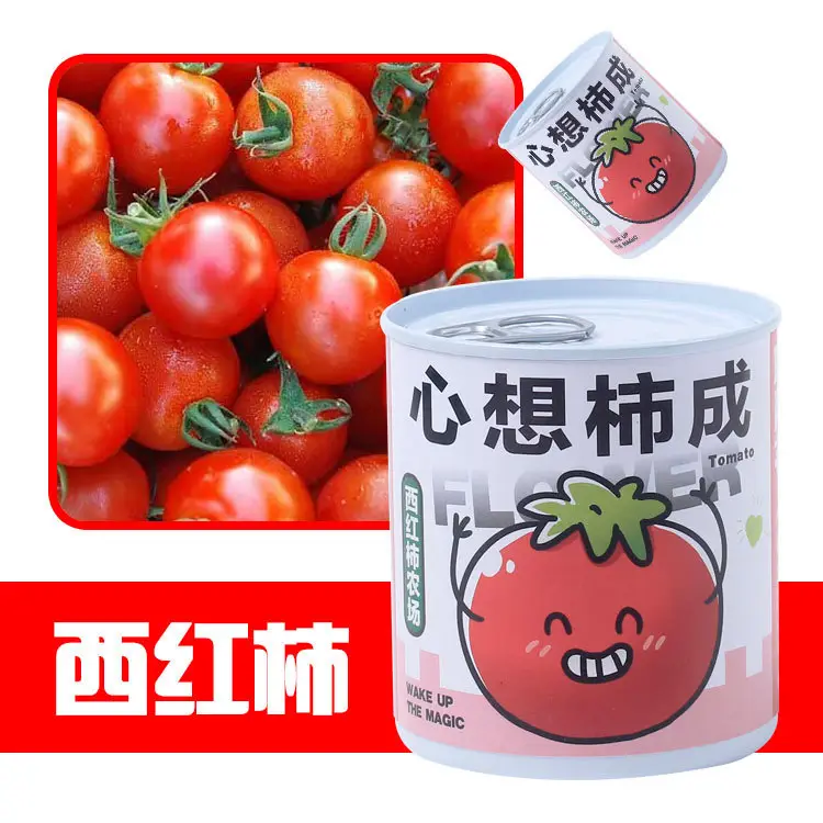 High-Quality Gift Blind Box Potted Plants Kindergarten Gifts Indoor Planting Flower Seeds Student Desktop Green Plants Potted Plants - Image 20