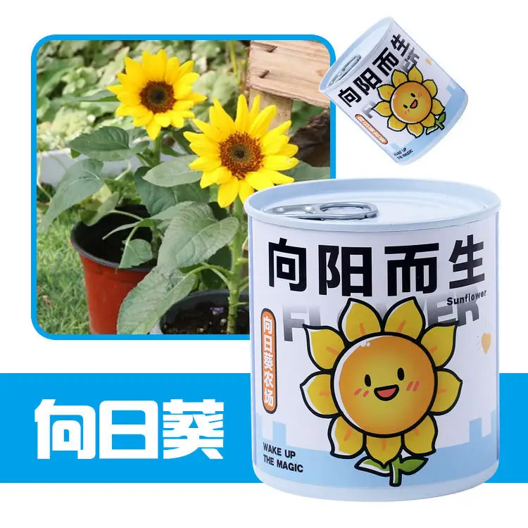 High-Quality Gift Blind Box Potted Plants Kindergarten Gifts Indoor Planting Flower Seeds Student Desktop Green Plants Potted Plants - Image 21