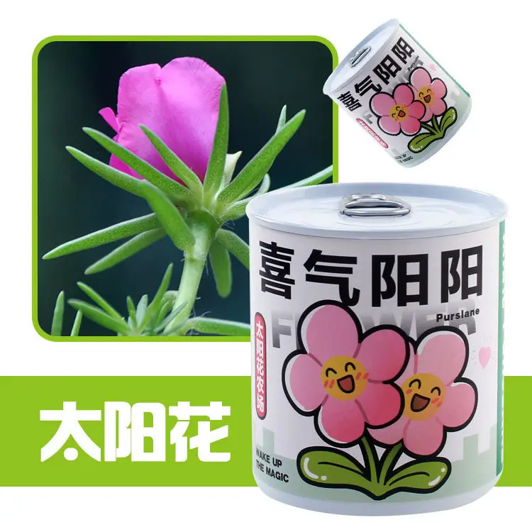 High-Quality Gift Blind Box Potted Plants Kindergarten Gifts Indoor Planting Flower Seeds Student Desktop Green Plants Potted Plants - Image 23