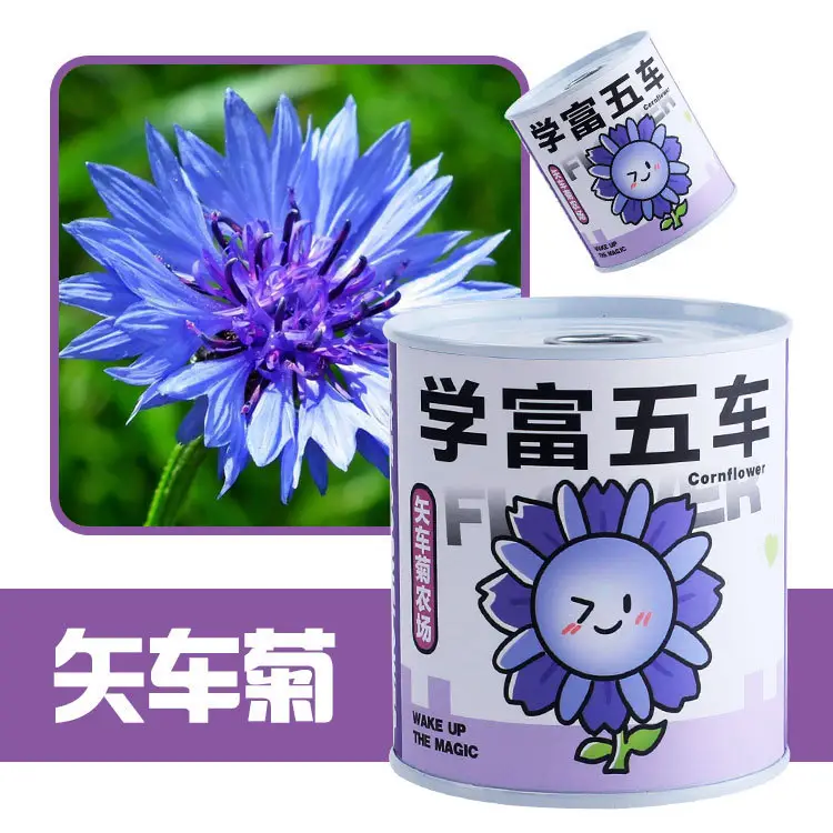 High-Quality Gift Blind Box Potted Plants Kindergarten Gifts Indoor Planting Flower Seeds Student Desktop Green Plants Potted Plants - Image 24