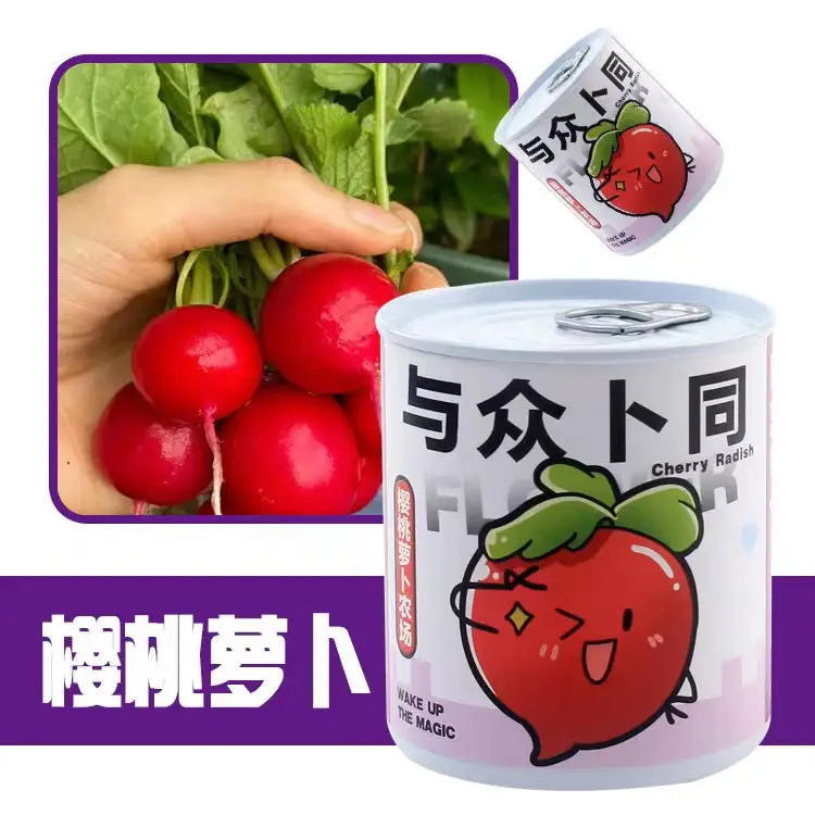 High-Quality Gift Blind Box Potted Plants Kindergarten Gifts Indoor Planting Flower Seeds Student Desktop Green Plants Potted Plants - Image 25