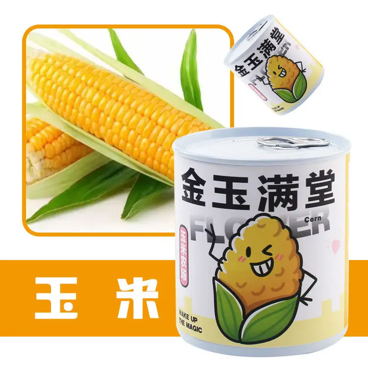 High-Quality Gift Blind Box Potted Plants Kindergarten Gifts Indoor Planting Flower Seeds Student Desktop Green Plants Potted Plants - Image 26