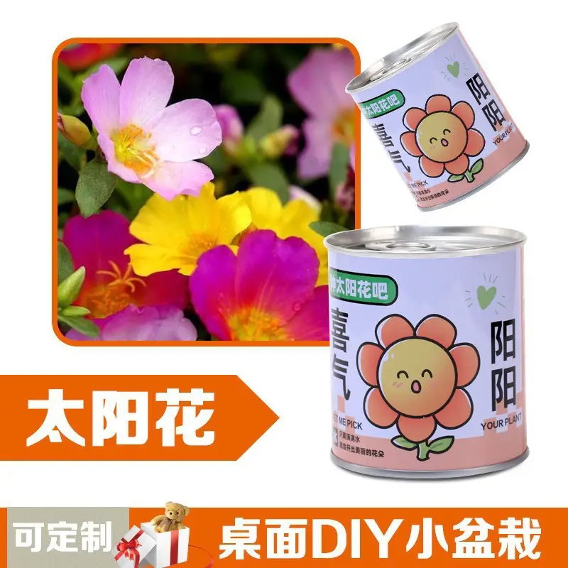 High-Quality Gift Blind Box Potted Plants Kindergarten Gifts Indoor Planting Flower Seeds Student Desktop Green Plants Potted Plants - Image 3