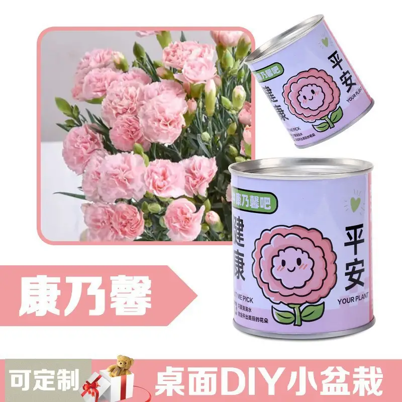 High-Quality Gift Blind Box Potted Plants Kindergarten Gifts Indoor Planting Flower Seeds Student Desktop Green Plants Potted Plants - Image 4