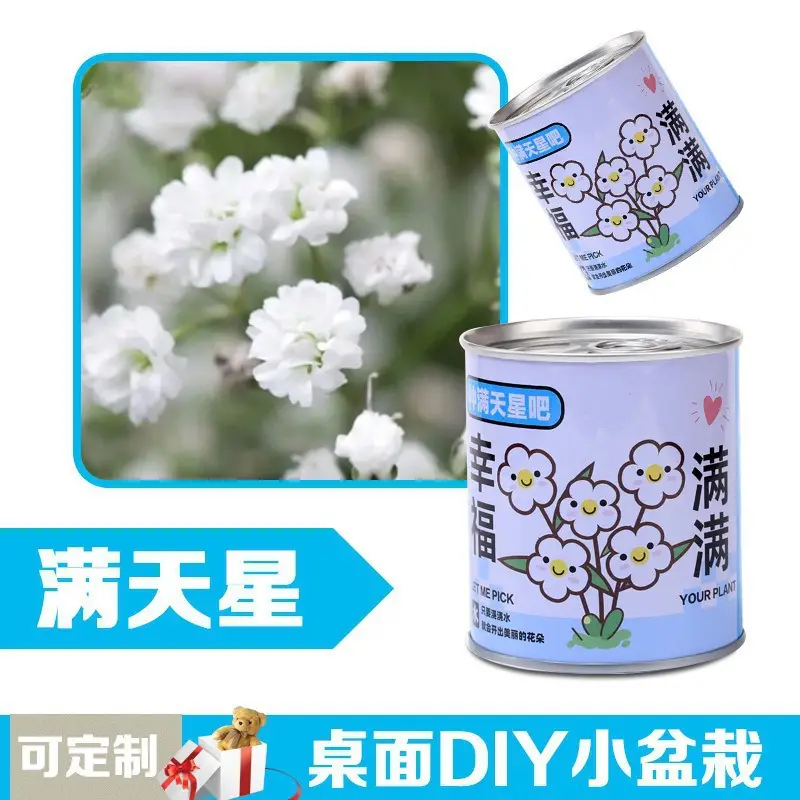 High-Quality Gift Blind Box Potted Plants Kindergarten Gifts Indoor Planting Flower Seeds Student Desktop Green Plants Potted Plants - Image 5