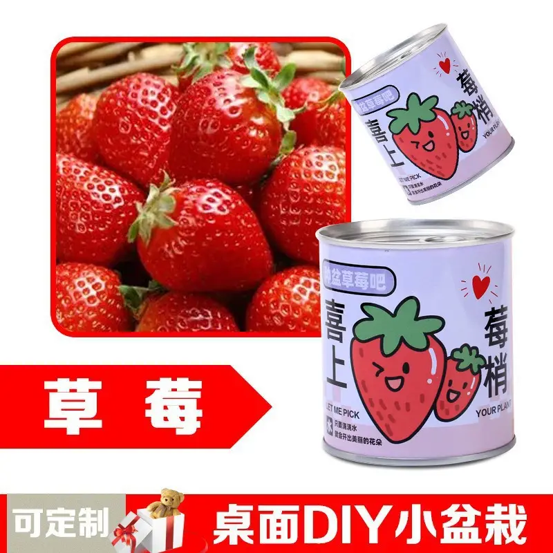 High-Quality Gift Blind Box Potted Plants Kindergarten Gifts Indoor Planting Flower Seeds Student Desktop Green Plants Potted Plants - Image 7