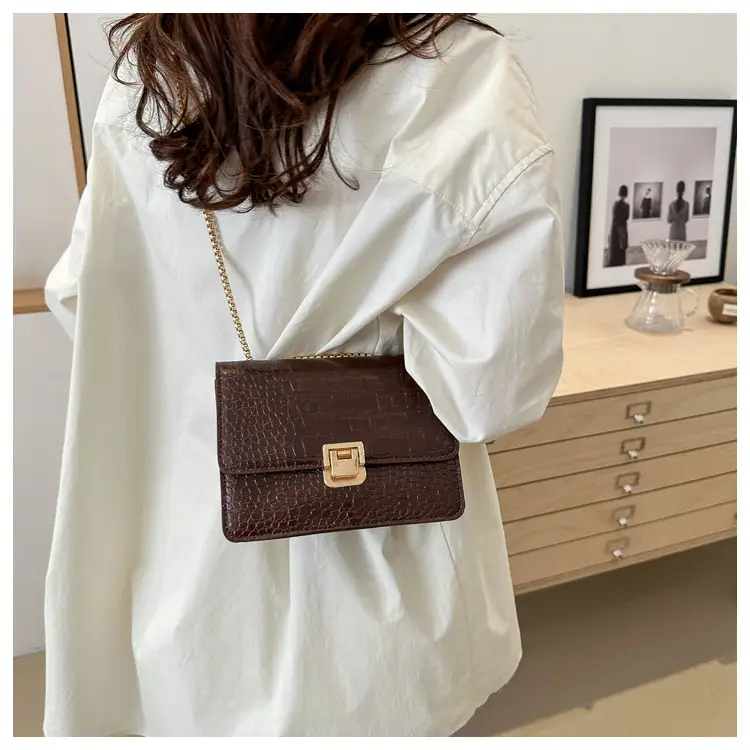 Elegant Latch Chain Crossbody Bag Women 2024 Spring Summer — feature 14