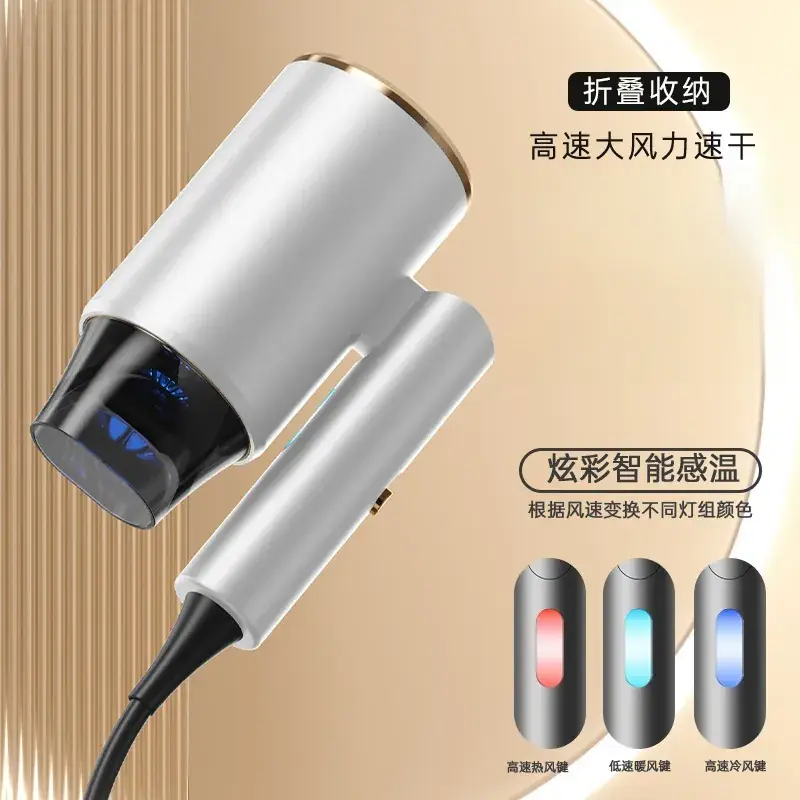 2025 Foldable Hair Dryer with Warm Light & High Wind - Image 3