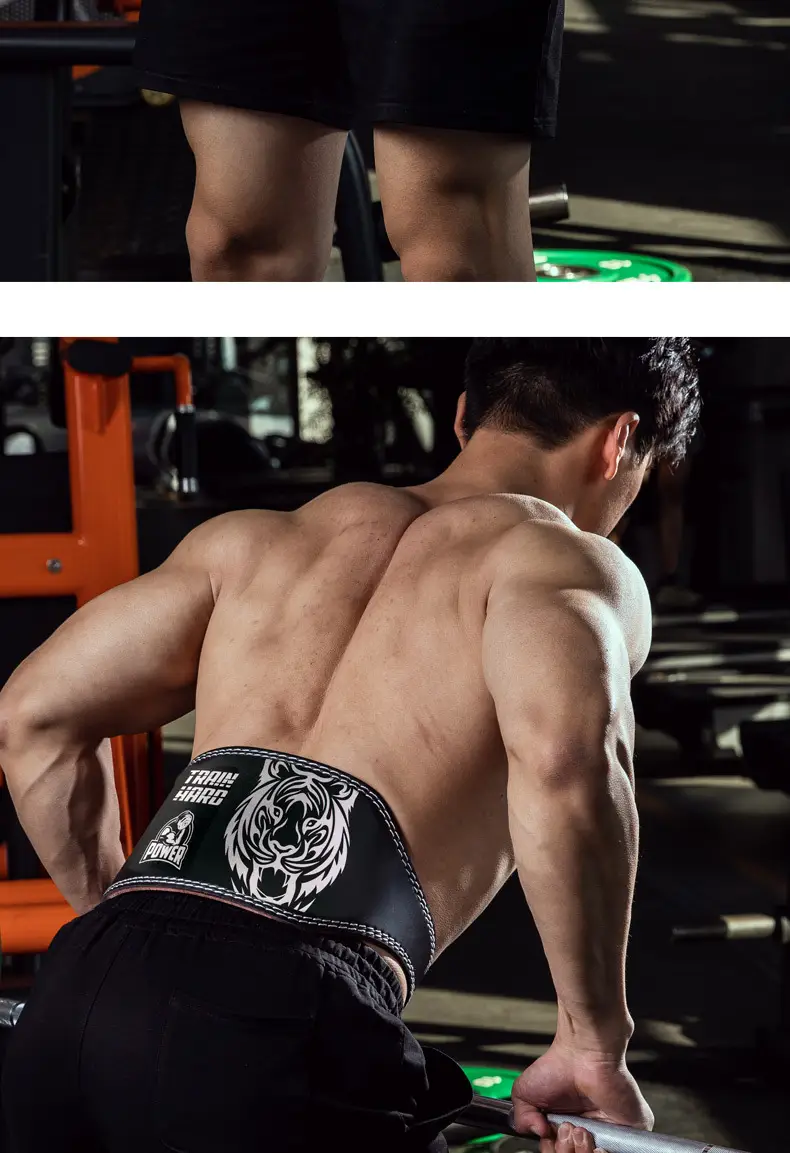 Waisfit Squat Belt Men Women Hard Pull Workout Waist Protector — feature 8