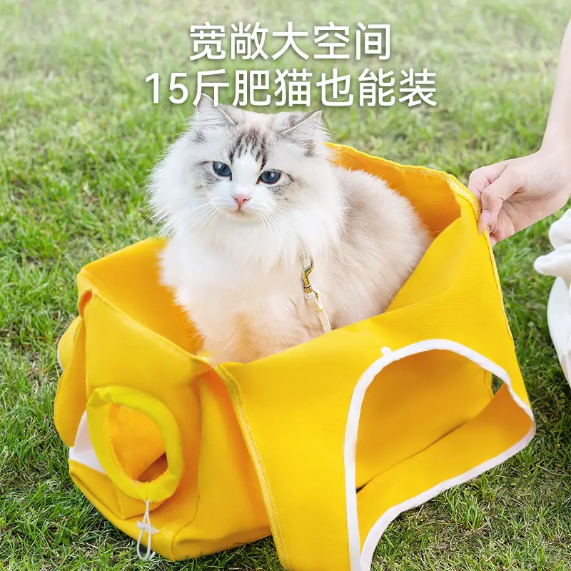 Yellow Canvas Cat Bag 15L Spring Summer Portable - Image 4