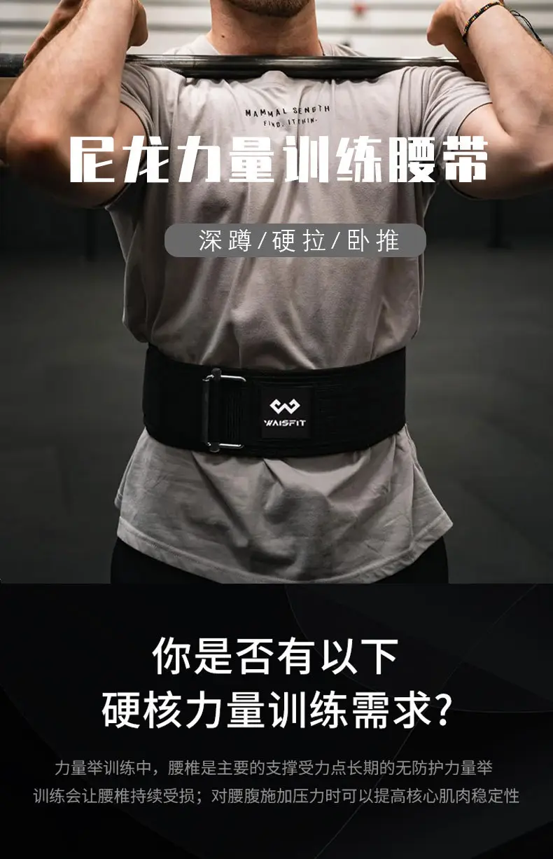 Adult Fitness Belt Nylon Waist Support Belt 100N Load — feature 1