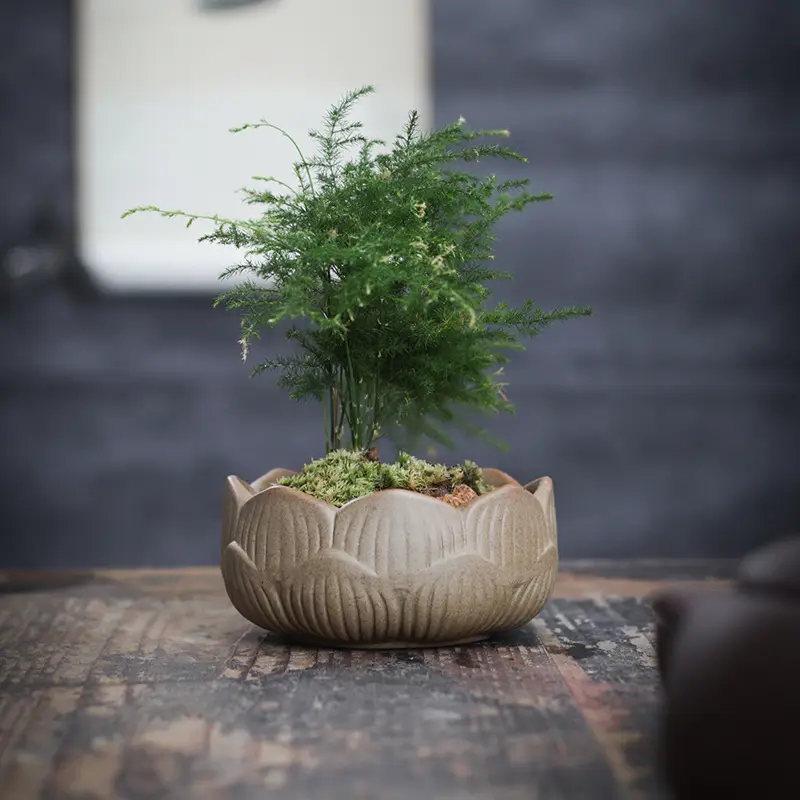 stoneware glaze-free raw soil firing fleshy flowerpot breathable plain burning classical simple potted fresh breathable fleshy plants