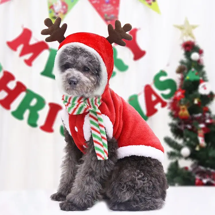 Christmas Teddy Coat for Dog Red Snowman Design - Image 11
