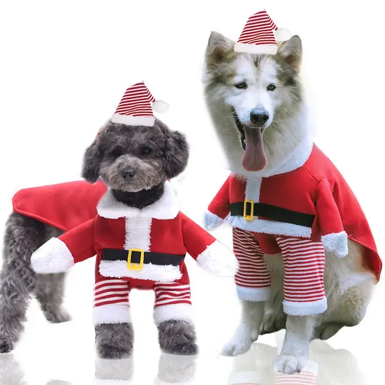 Christmas Teddy Coat for Dog Red Snowman Design — feature 38