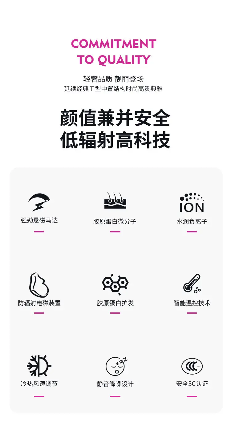 Electric Hair Dryer with Negative Ion Technology — feature 2