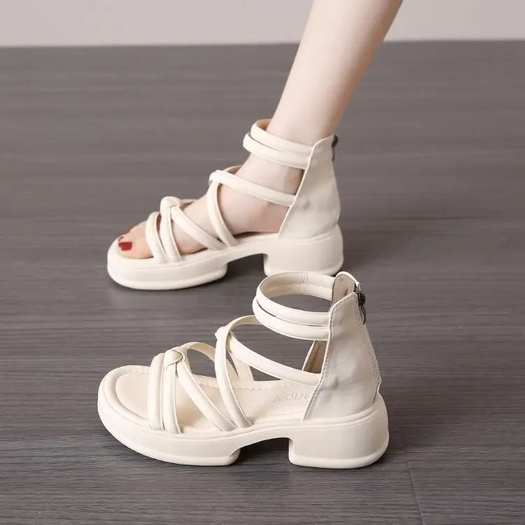 Sandals Women's Summer Outer Wear 2024 New Thick Sole Roman Shoes Fairy Style Dress Thick Heel Beach Sandals - Image 6